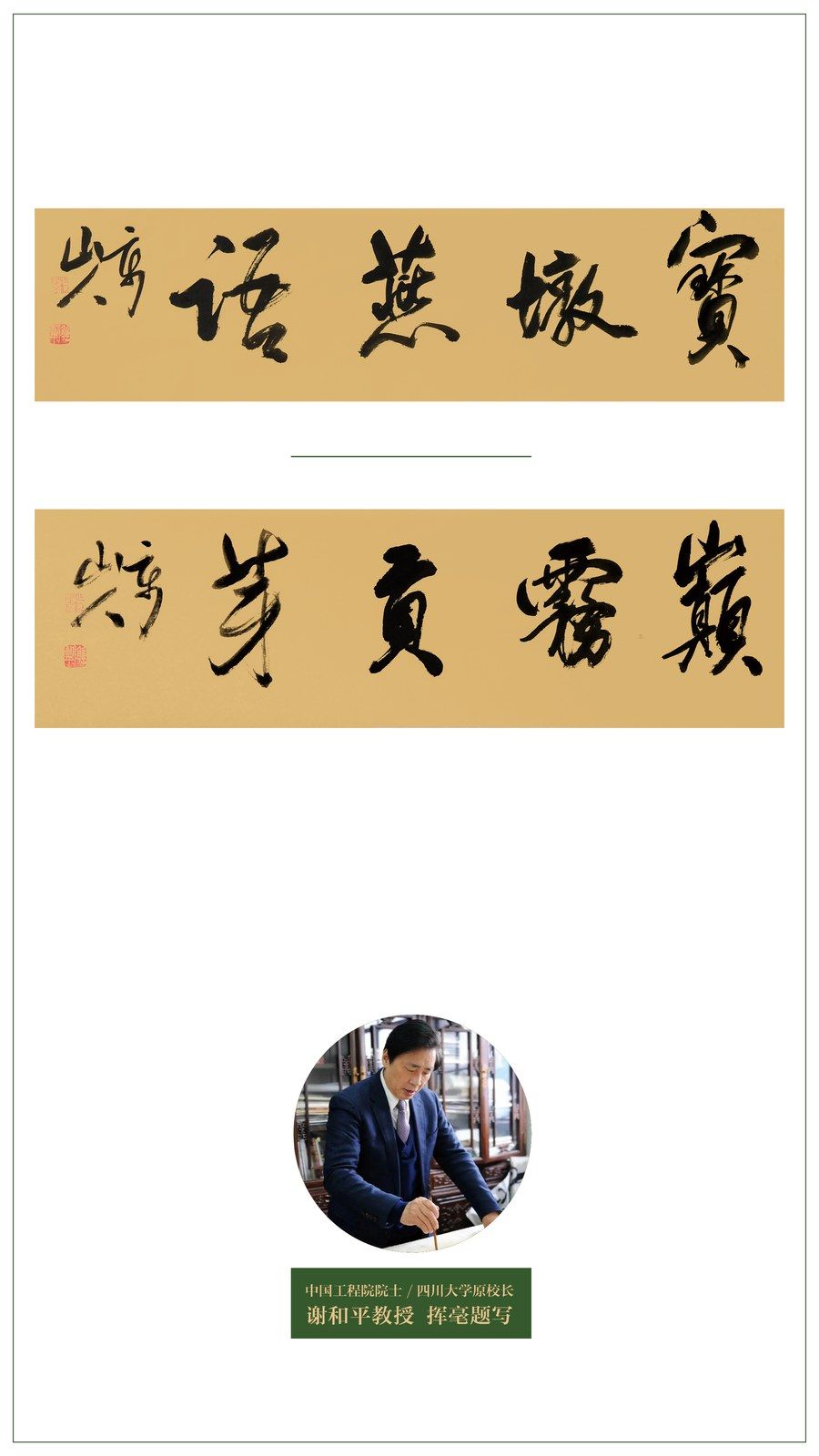 Brand calligraphy for Baodun Yanyu and Dianwu Gongya, inscribed by Professor Xie Heping