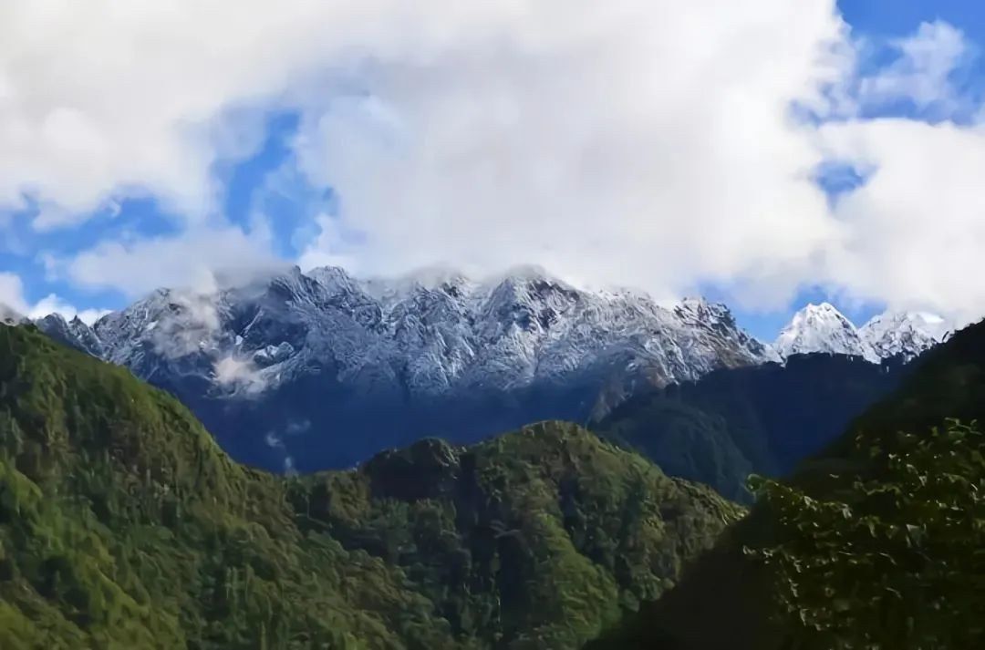 Cloud-wrapped tea mountain at high altitude in Yunnan
