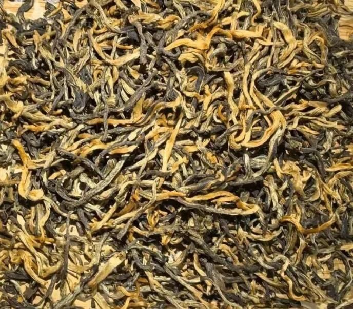 Fengqing Dian Hong Ancient-Tree Black Tea