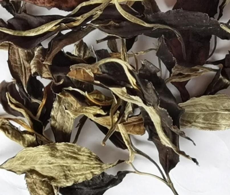 Jinggu Dian Bai Ancient-Tree White Tea (Cake)
