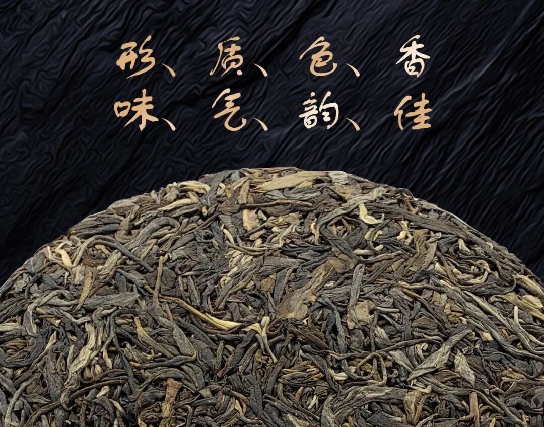 Jingmai Great Village Ancient-Tree Raw Pu-erh