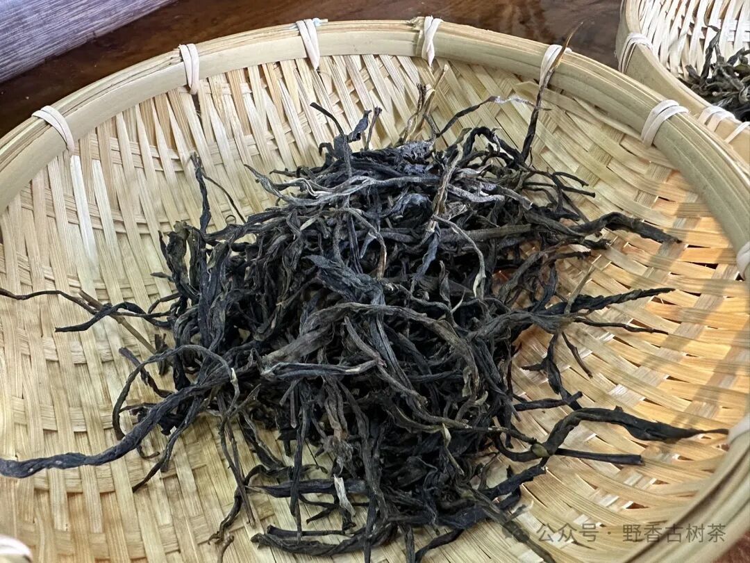 Lincang Xigui Ancient-Tree Raw Pu-erh