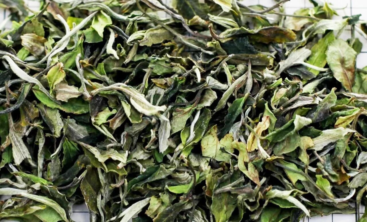 Dianwu Gongya Yangta Old Village Royal White Tea